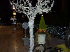 2010-11-27_20-46-52__010.jpg